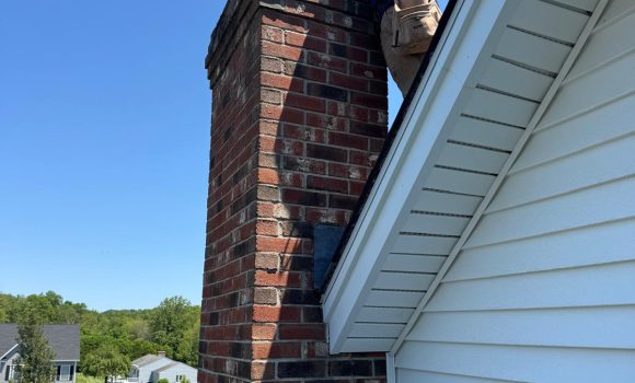 WhatsApp Image 2025-06-08 at 11.11.18 AM (1)