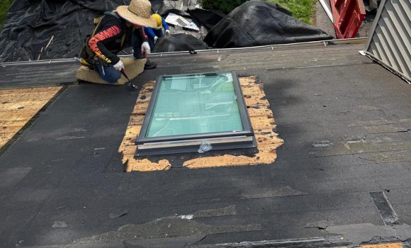 WhatsApp Image 2025-06-08 at 11.11.18 AM