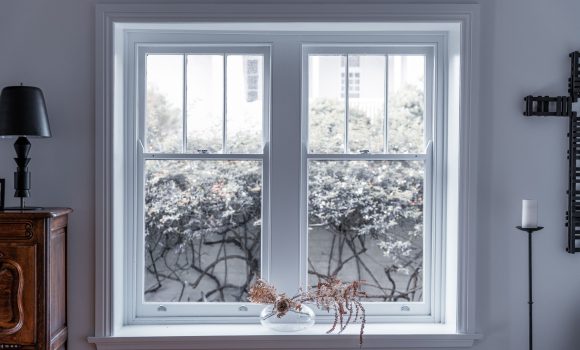 A view of the plants in the backyard from a house's window